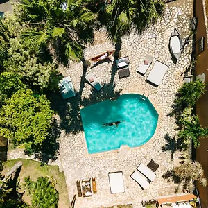 Casa Cactus Da Tartaruga Brasil